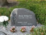 Anna Dellgren.JPG